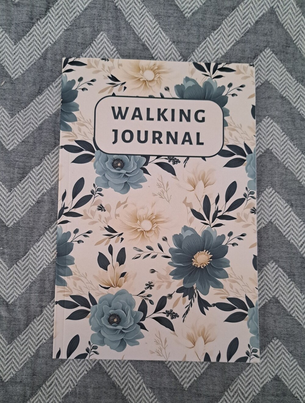 Daily Walking Journal Notebook